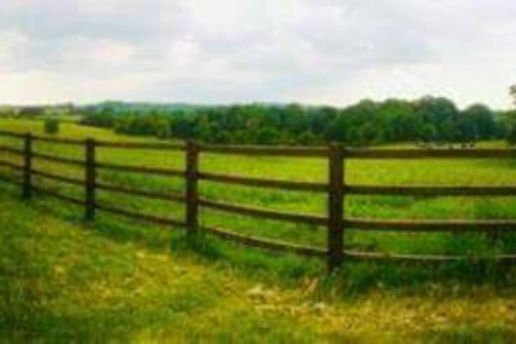 Malthouse Farm Carriage * Dilhorne
